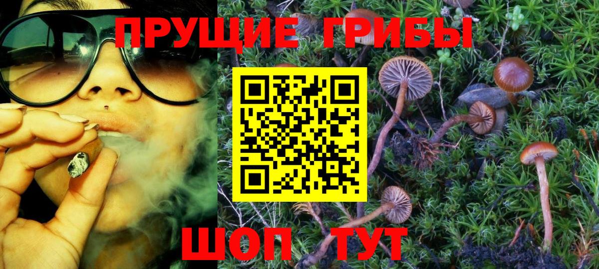 Галлюциногенные грибы мицелий Дедовск
