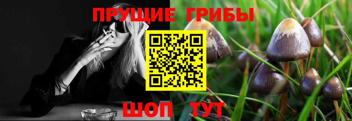 Дедовск  Галлюциногенные грибы прущие грибы  Вход с VPN 